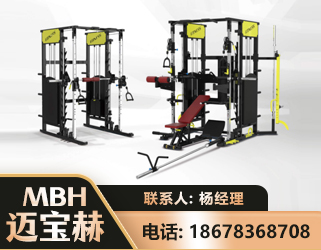 秦皇岛多功能综合训练器