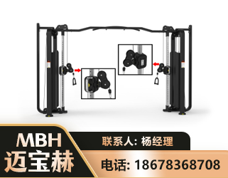秦皇岛大飞鸟训练器