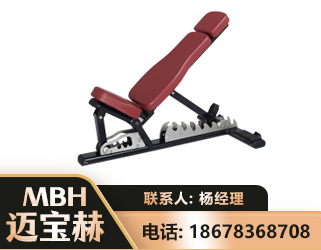秦皇岛可调哑铃椅